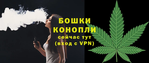 прущий лед Козельск