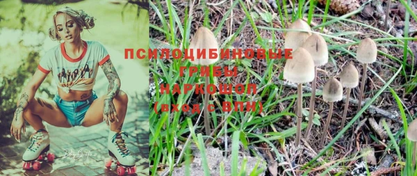 прущий лед Козельск